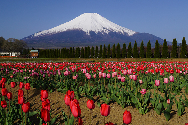 花の都公園